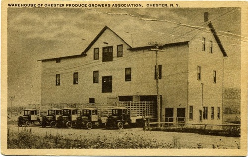 Chester Produce Growers Association building with trucks. Circa 1920. chs-005841